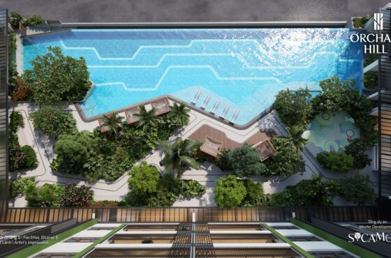 Orchard Hill Sycamore, Biểu tượng sống hiện đại giữa lòng Thành phố Mới