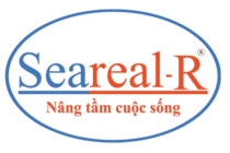 GIỚI THIỆU 31 Seareal